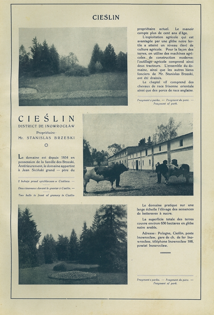 027 cieslin.jpg